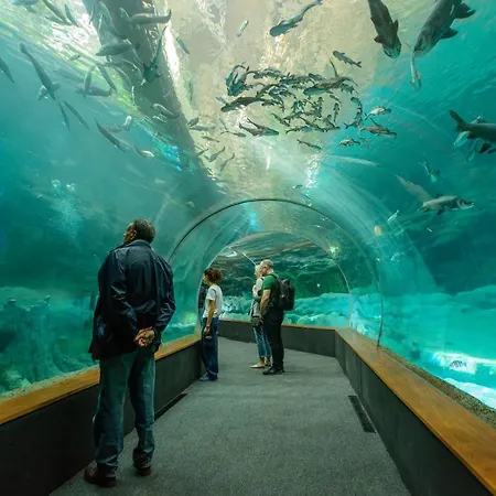 Calma * Maspalomas (Gran Canaria)